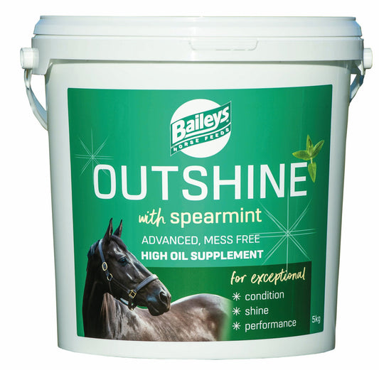 Baileys Outshine Spearmint 5 kg
