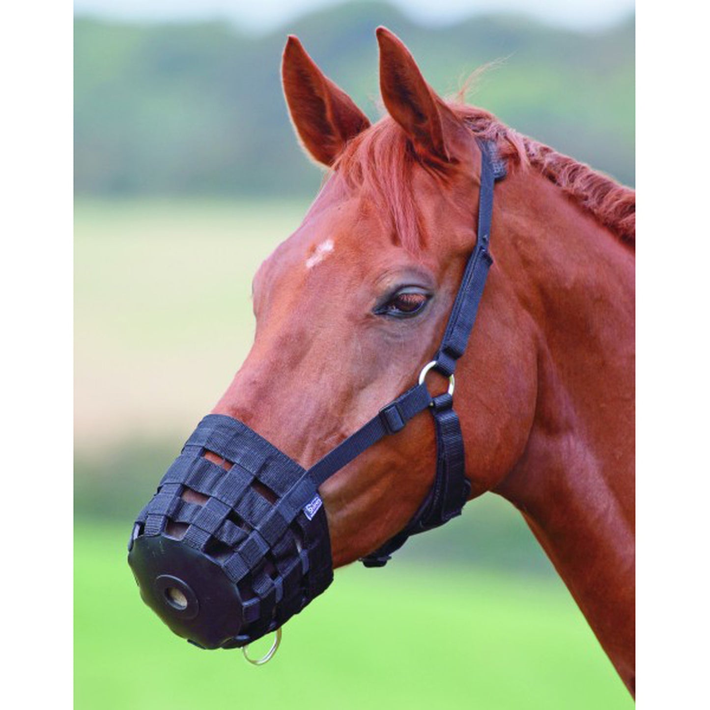 HY Grazing Muzzle Full Black