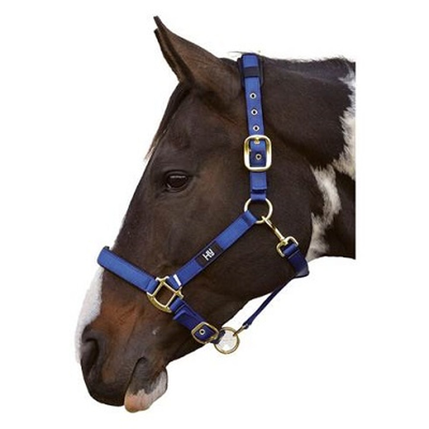 Hy Deluxe Padded Head Collar Blue Full