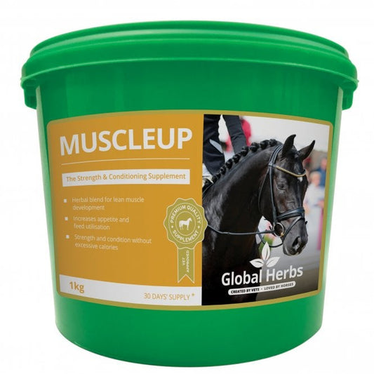 Global H Muscle Up 1 kg