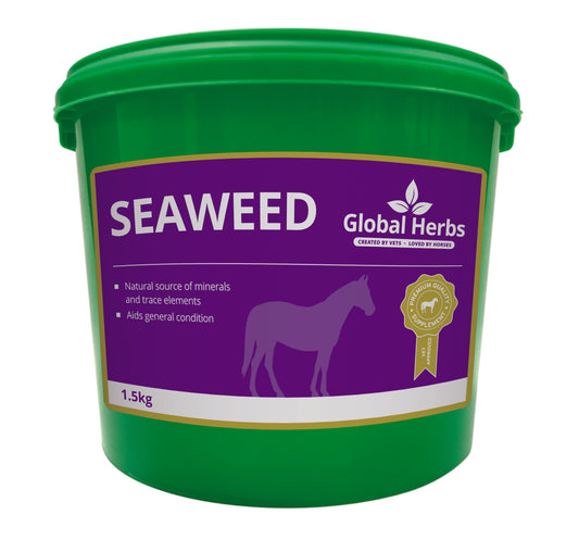 Global H Seaweed 1.5 kg
