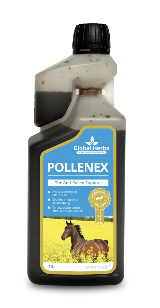 Global H Pollene X Syrup 1 L