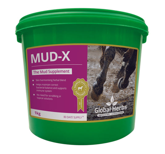 Global H Mud-X 1 kg