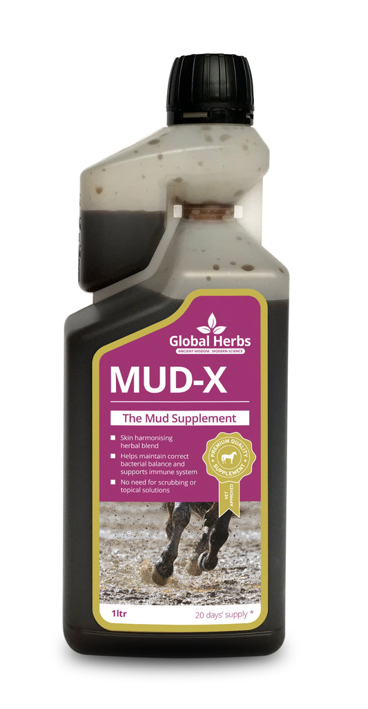 Global H Mud-X Syrup 1 L