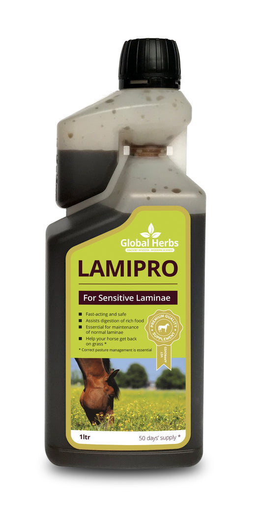 Global H LamiPro Liquid 1 L