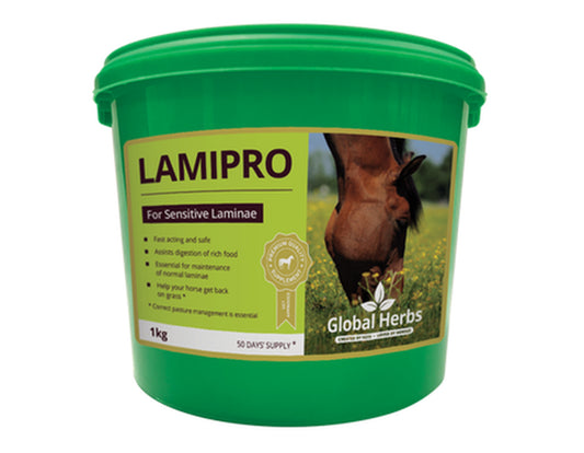 Global H LamiPro 1 kg