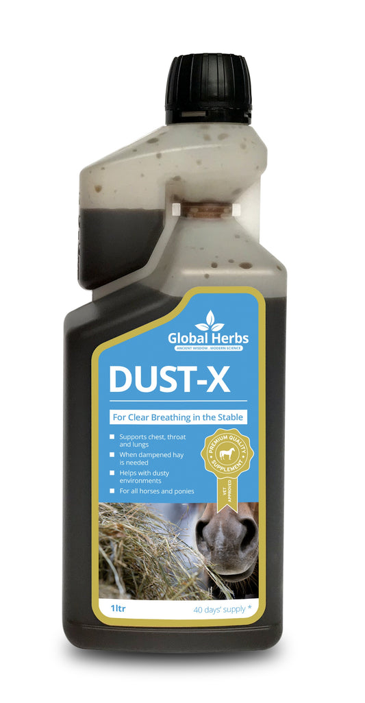 Global H Dust-X Syrup 1 L
