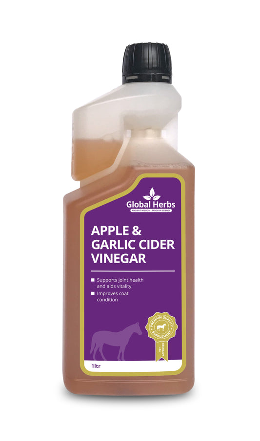 Global H Apple & Garlic Cider Vinegar(H) 1 L
