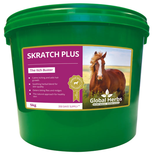 Global H Skratch Plus 5 kg