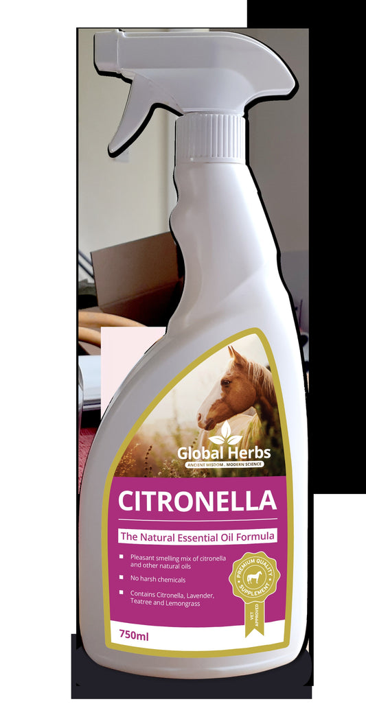Global H Citronella Spray 750 ml