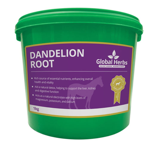 Global H Dandelion Root 1 kg