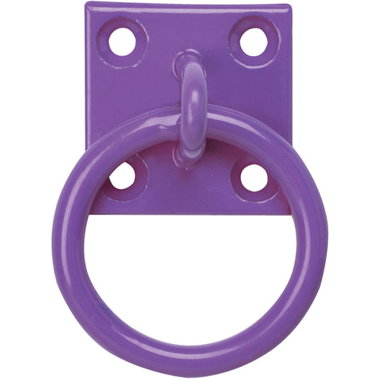 Tie Ring On Plate Purple x10