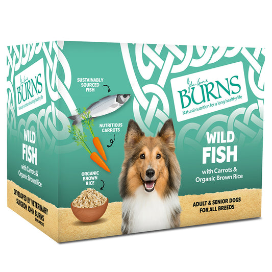Burns Dog Tray Wild Fish 6x395g