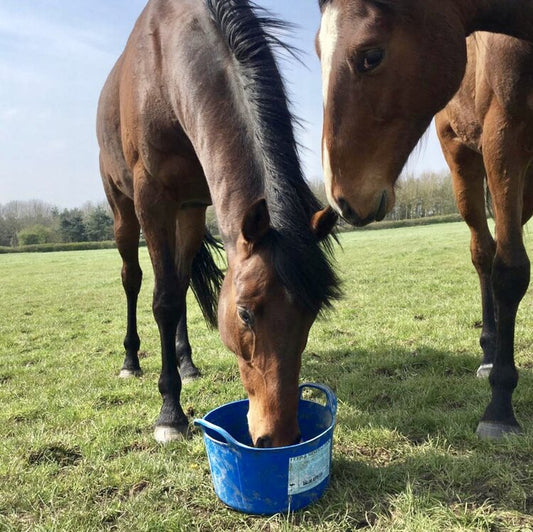 DK Equine Flexi Tub with Herbs 12.5kg