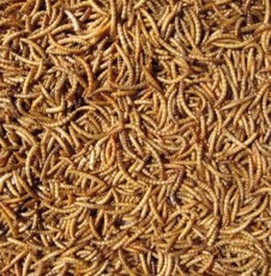 Hutton Mill Mealworms 12.5kg