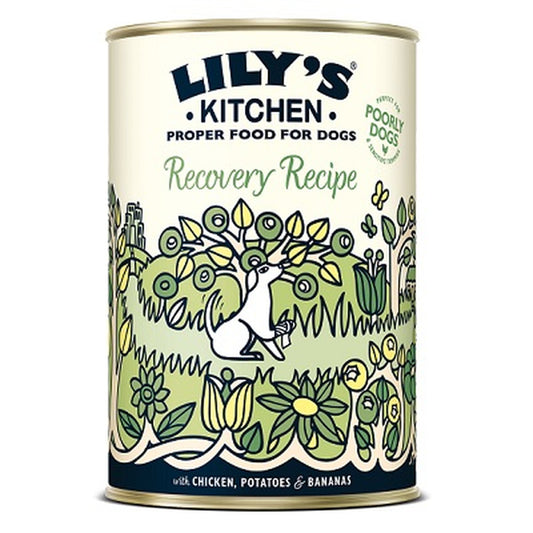 Lilys Kitchen Recover Recipe 6x400g Tray