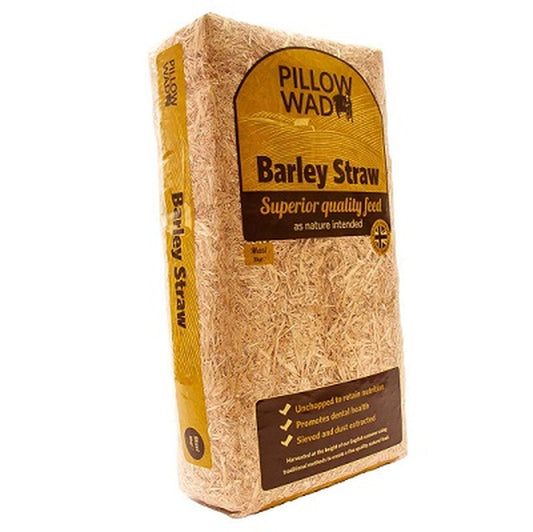 Pillow Wad Barley Straw Maxi XL